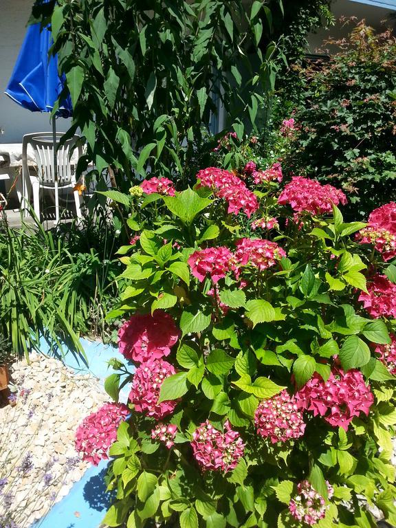 Hotel Park Eden Bad Bellingen Dış mekan fotoğraf